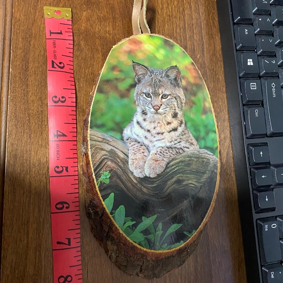 * LAST CHANCE* Ponderosa Ranch Bob Cat Log Slice Wall Art - Picture 5 of 6